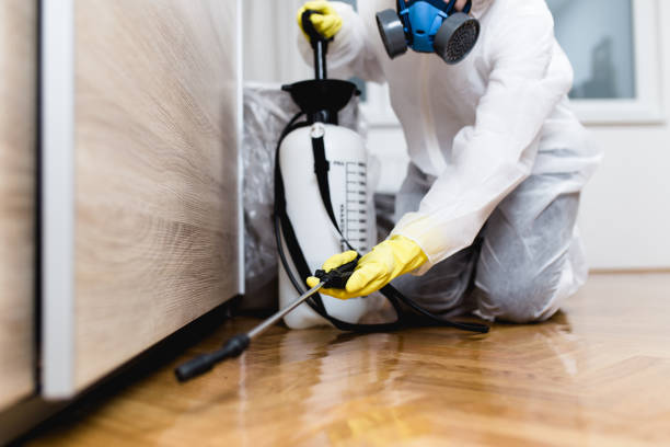 Best Rat Extermination Near Me  in Clarendon Hls, IL
