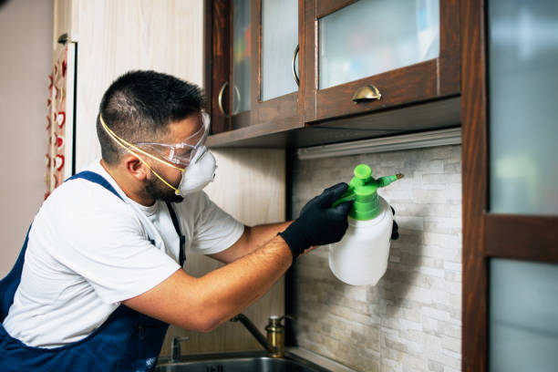Professional Pest Control in Clarendon Hills, IL