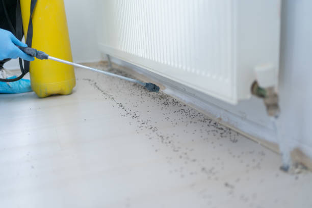 Best Bed Bug Extermination  in Clarendon Hls, IL