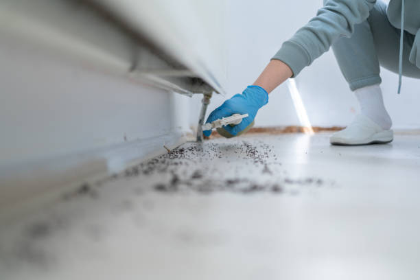 Best Commercial Pest Control Services  in Clarendon Hls, IL