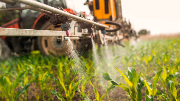 Best Pest Inspection Near Me  in Clarendon Hls, IL