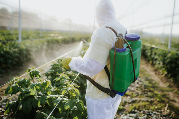 Best Best Pest Control Companies  in Clarendon Hls, IL
